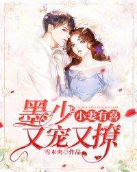 小妻有喜之墨少又宠又撩