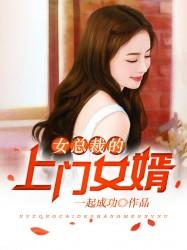 王婿叶凡简介