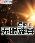 无限魂穿世界