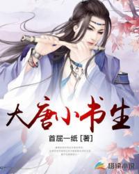 大唐小书生程咬金选婿