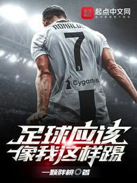足球应该像我这样踢 第章 圆规