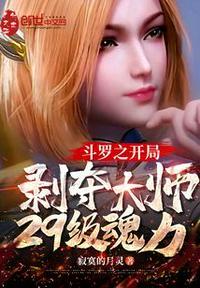 斗罗之开局剥夺大师29级魂力 - 正版免费