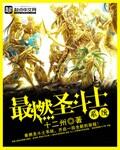 圣斗士之最强人类