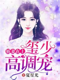 沈湘傅少钦大