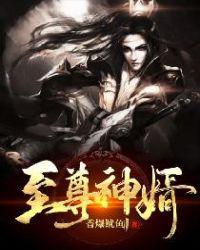 至尊神婿冫