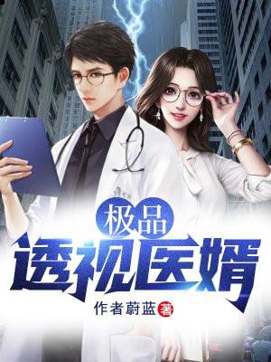 极品神医透视眼
