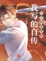 我写的自传不可能是悲剧 起点