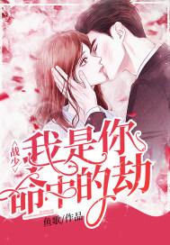 你是我命中的劫安凝免费阅读