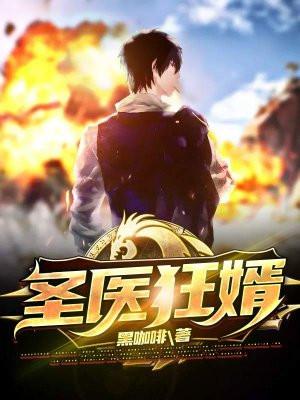 陈默林语梦 圣医狂婿