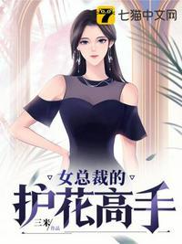 美女总裁的护花圣手