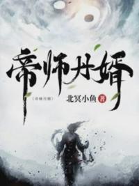帝师龙婿