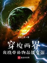 穿梭两界的倒爷