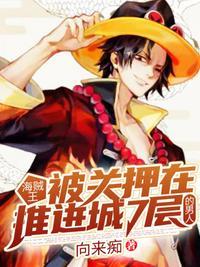 海贼王推进城是多少集