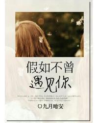 假如不曾遇见你读书笔记