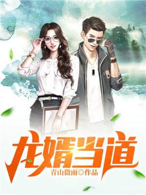 龙婿当道燕京家族排行