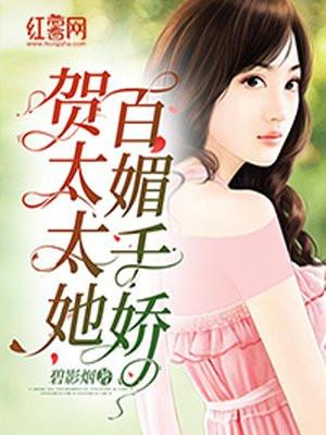 贺太太复婚吧免费