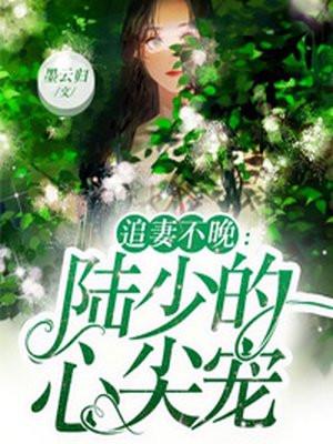 追妻不晚陆少的心尖宠妻