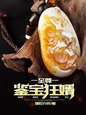至尊鉴宝狂婿全集