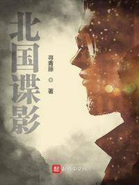 北国谍影影