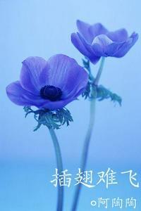沈初云陆进开车