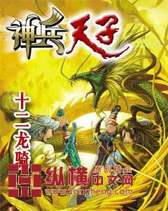 神兵天子武功大全