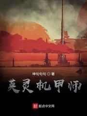 英灵机甲师TXT