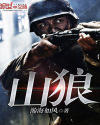 山狼 瀚海如风