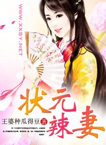 状元辣妻全文阅读