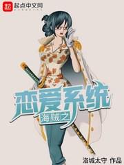 海贼的恋爱系统