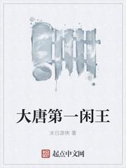 大唐第一闲人无弹窗