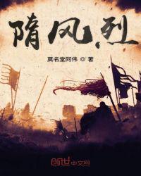 隋风烈穿越到隋朝做了什么