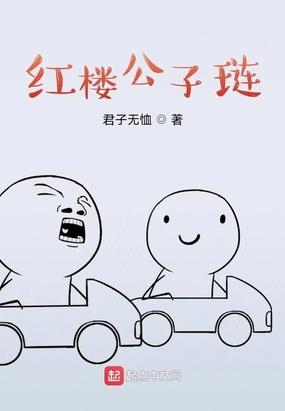 红楼梦公子是谁