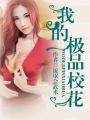 我的极品校花叶轩苏嫣然免费全文阅