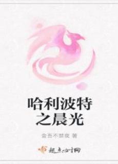 哈利波特之晨光主角是谁