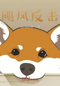飓风真面目