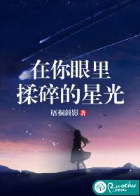 揉碎的星光是什么歌