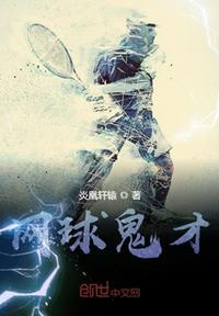 著名网球男选手