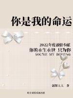 你是我的命运中文版电视剧