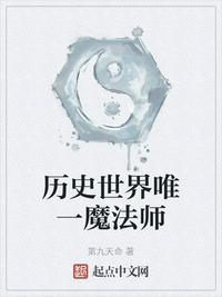 历史世界唯一魔法师书籍