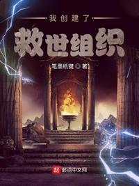 我打造了古老救世组织圣盾