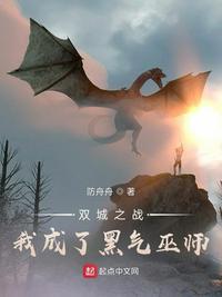 双城之战什么意思