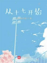 由十七岁开始 歌词