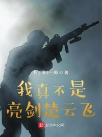 我真不是亮剑楚云飞的