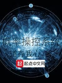 概率操控系统量级