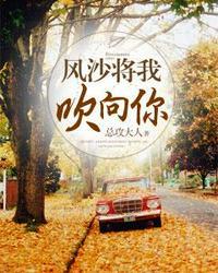 风将我吹向你歌曲