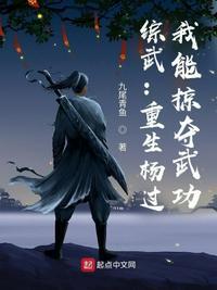 重生到杨过的