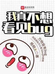 我真不想看不见bug
