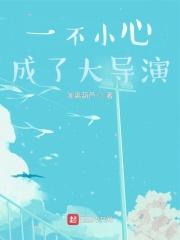 一不小心成了大导演贴吧