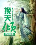 红楼之挽天倾 追书