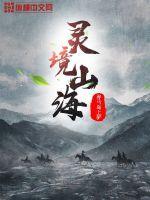 什么有灵海境